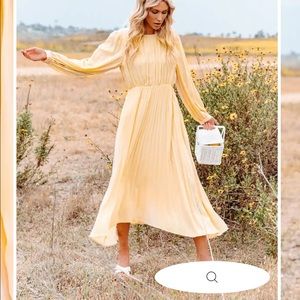 Vici Pleated Midi Dress